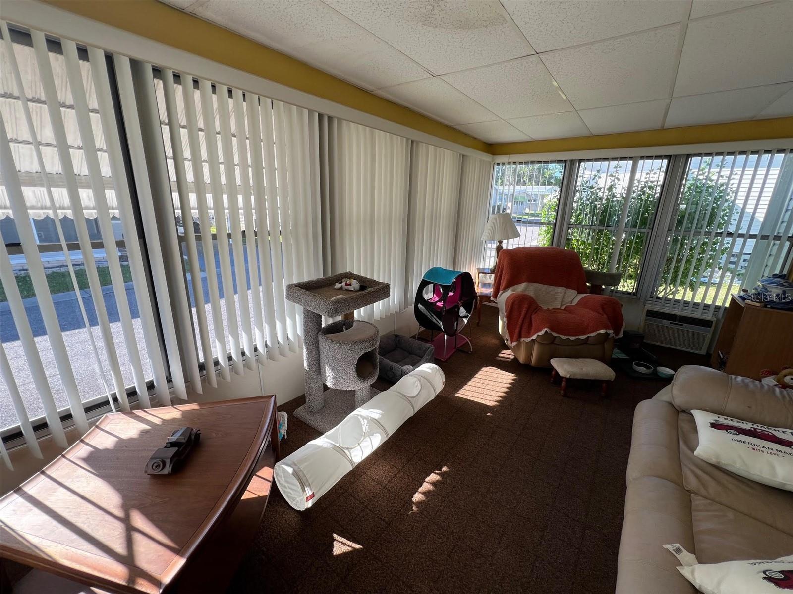 29250 US HIGHWAY 19 N #135, CLEARWATER, FL — photo 21