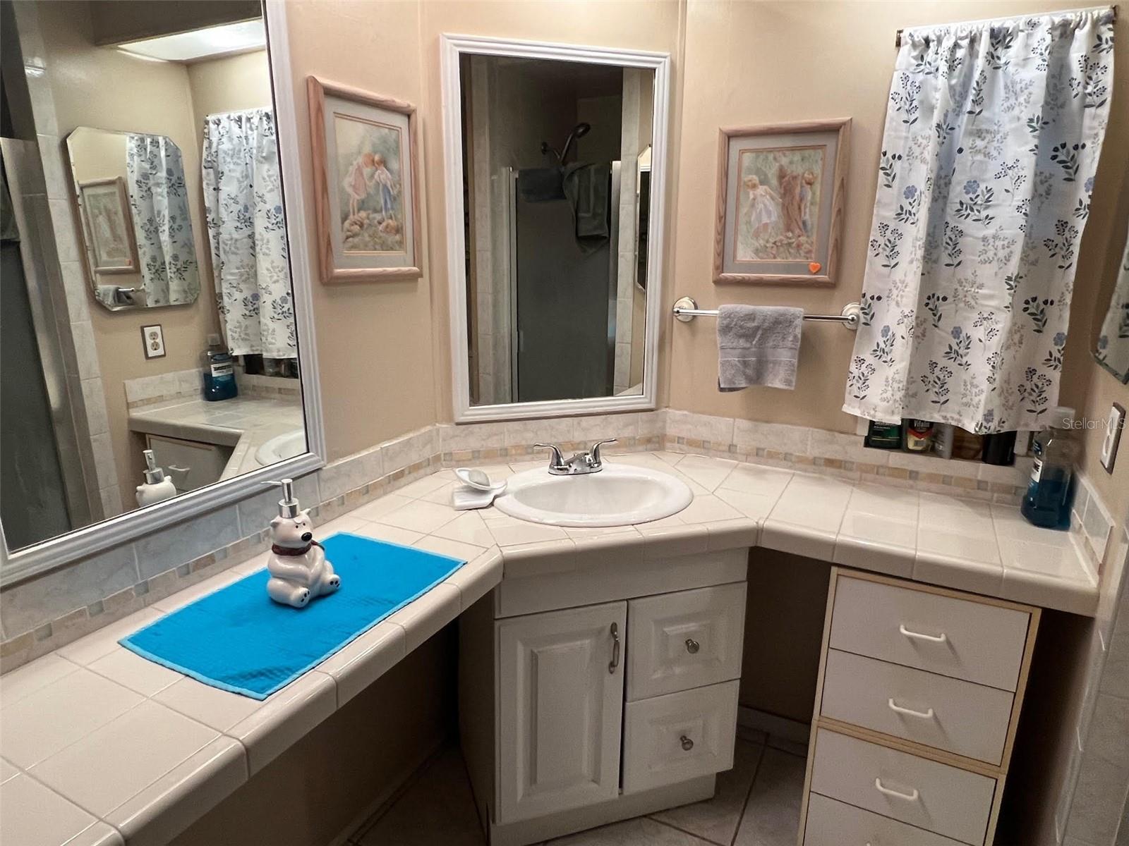 29250 US HIGHWAY 19 N #135, CLEARWATER, FL — photo 28