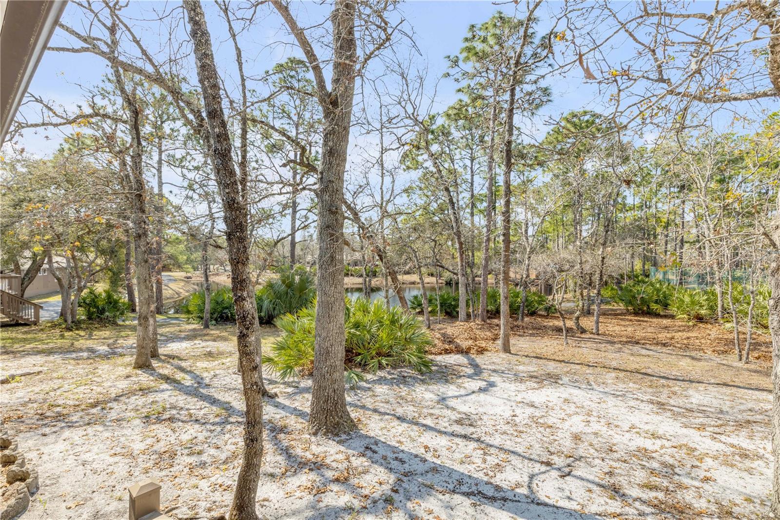 47 CROOKED PINE RD, PORT ORANGE, FL — photo 31