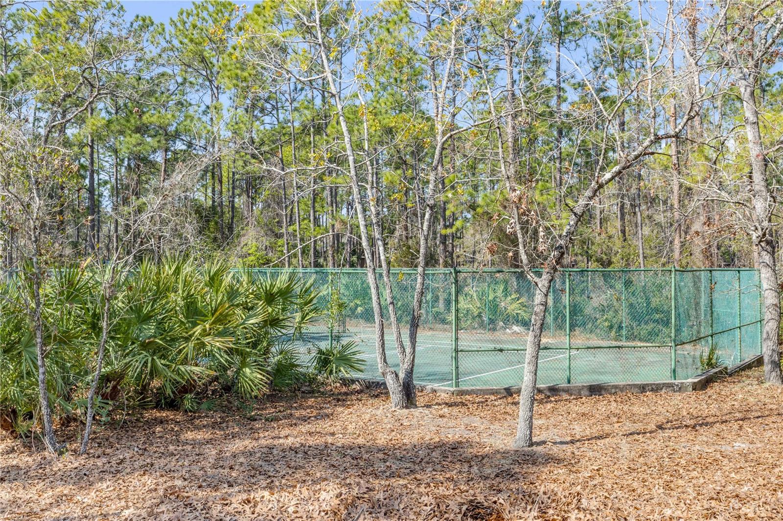 47 CROOKED PINE RD, PORT ORANGE, FL — photo 34