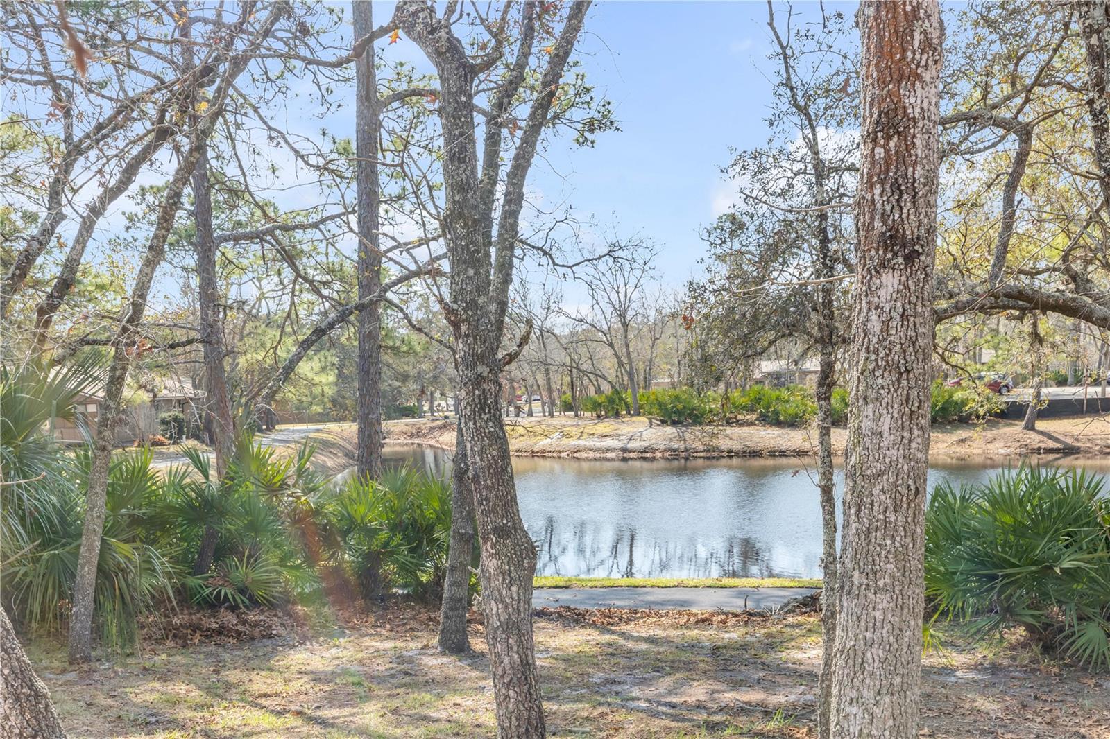 47 CROOKED PINE RD, PORT ORANGE, FL — photo 35