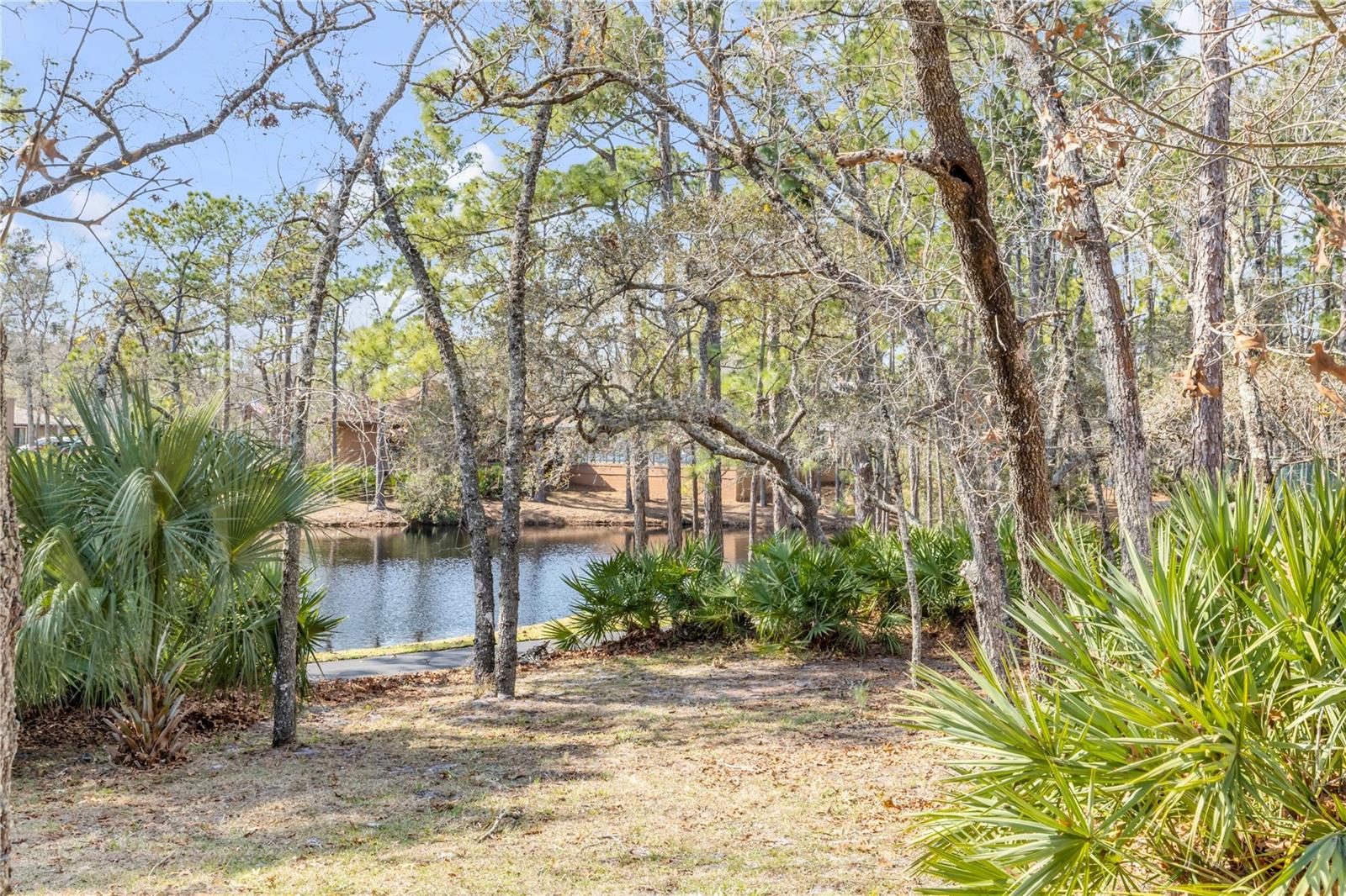 47 CROOKED PINE RD, PORT ORANGE, FL — photo 36