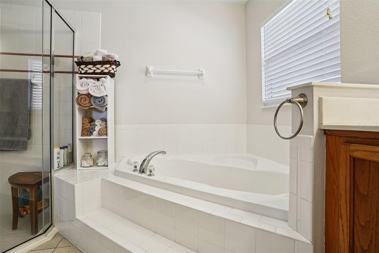 13116 GLENVIEW LN, GRAND ISLAND, FL — photo 49