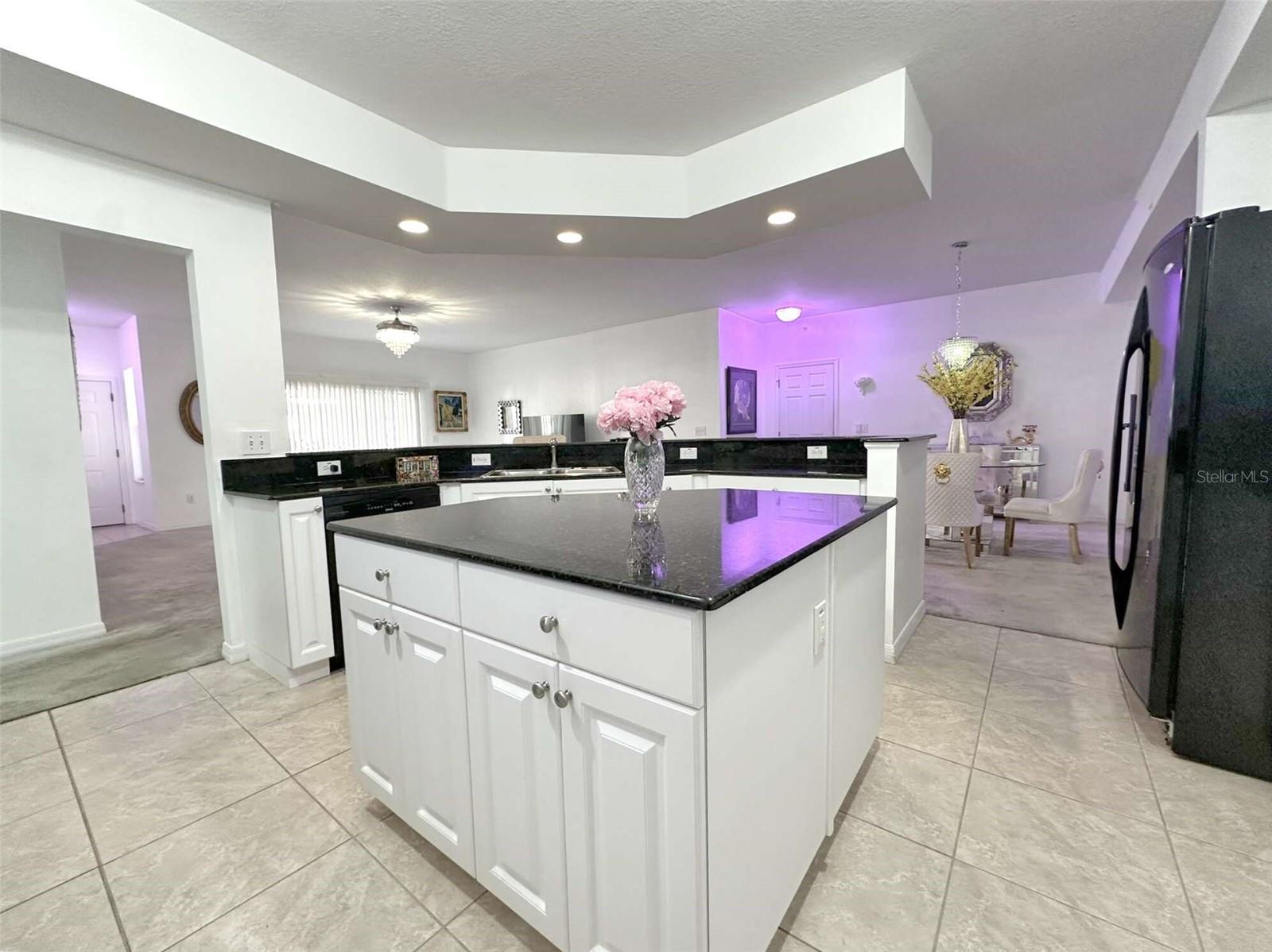 21019 SUNPOINT WAY #102, LUTZ, FL — photo 19