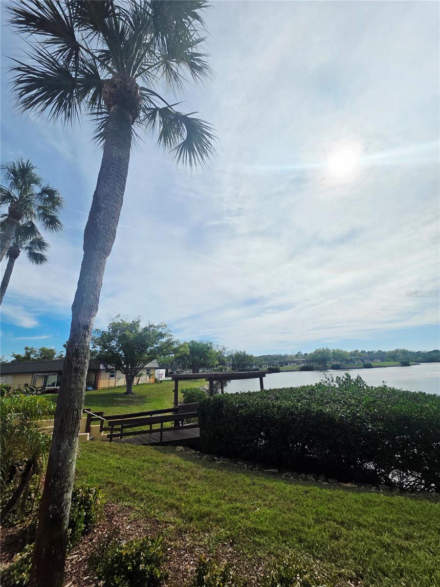 4461 RUSTIC DR, NEW PORT RICHEY, FL — photo 23
