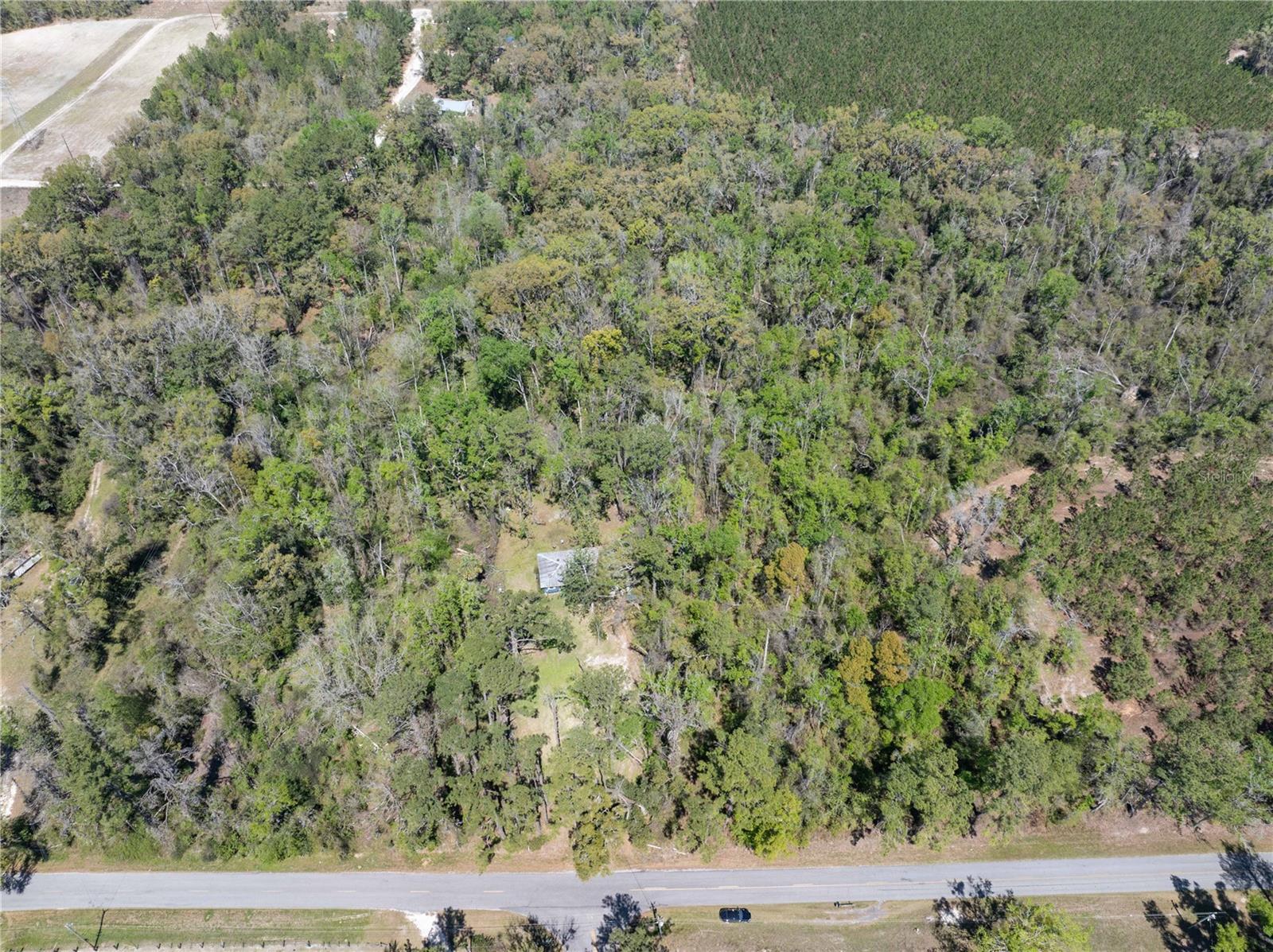 9311 86TH ST, LIVE OAK, FL — photo 4