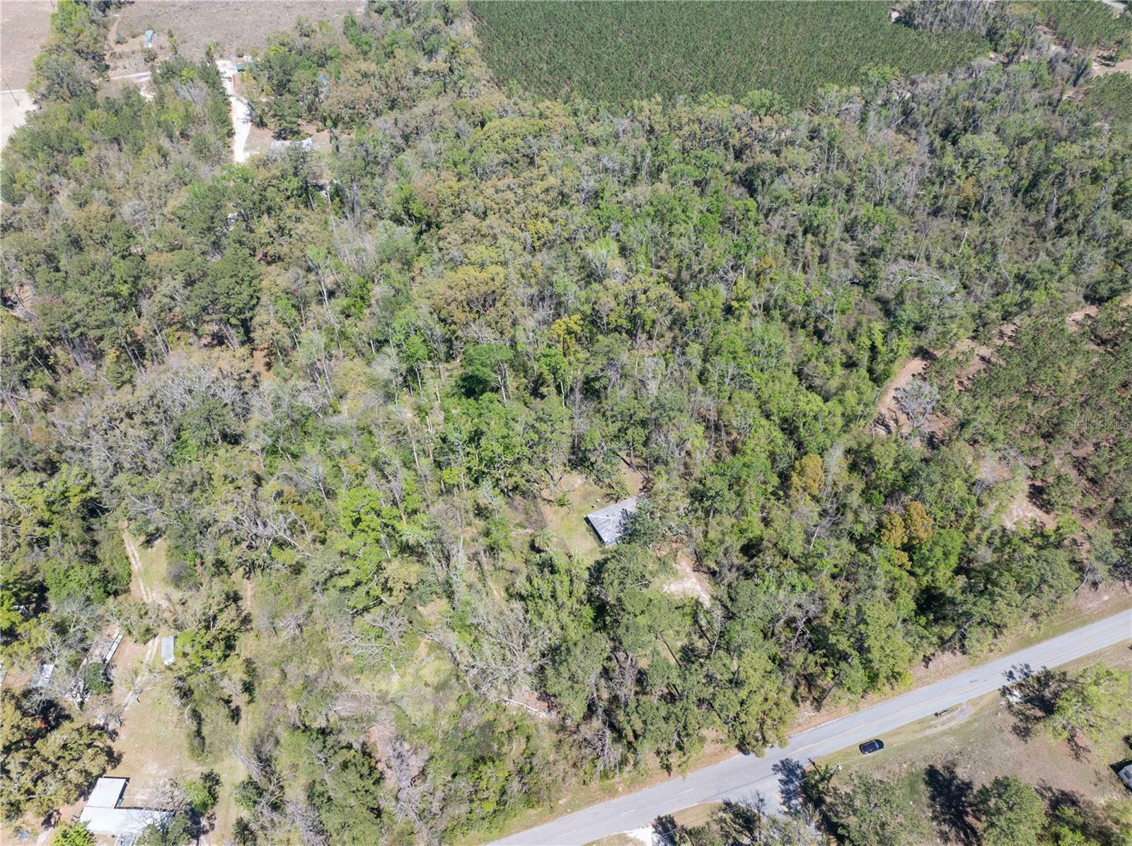 9311 86TH ST, LIVE OAK, FL — photo 9