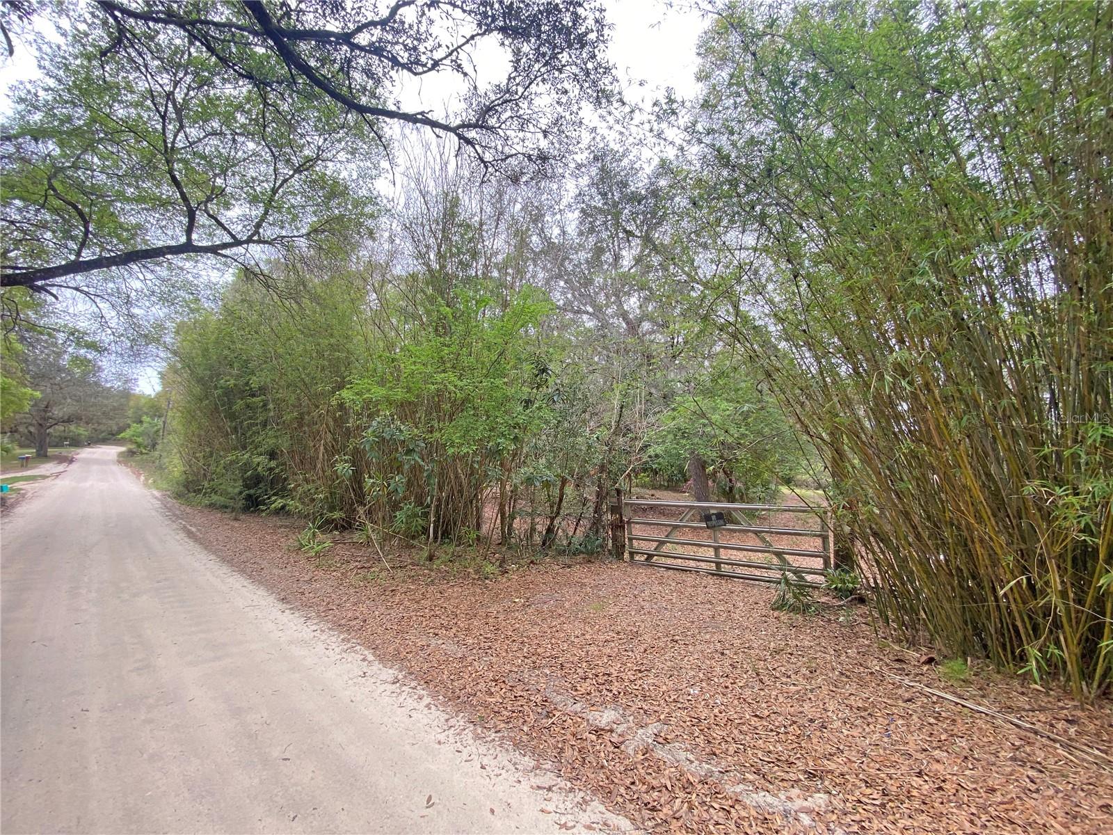119 TWIN LAKES RD, HAWTHORNE, FL — photo 2