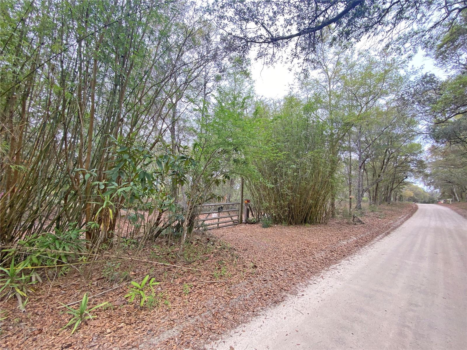 119 TWIN LAKES RD, HAWTHORNE, FL — photo 3