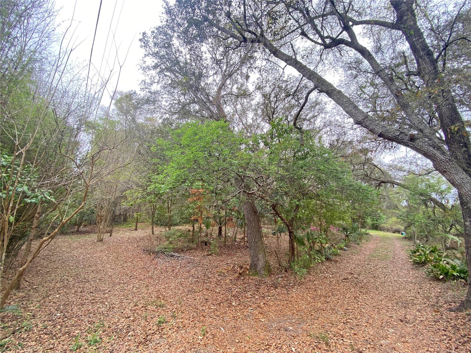 119 TWIN LAKES RD, HAWTHORNE, FL — photo 4