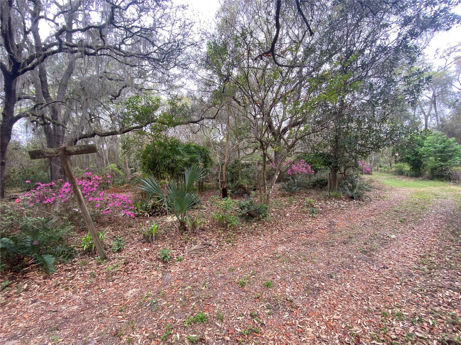 119 TWIN LAKES RD, HAWTHORNE, FL — photo 8