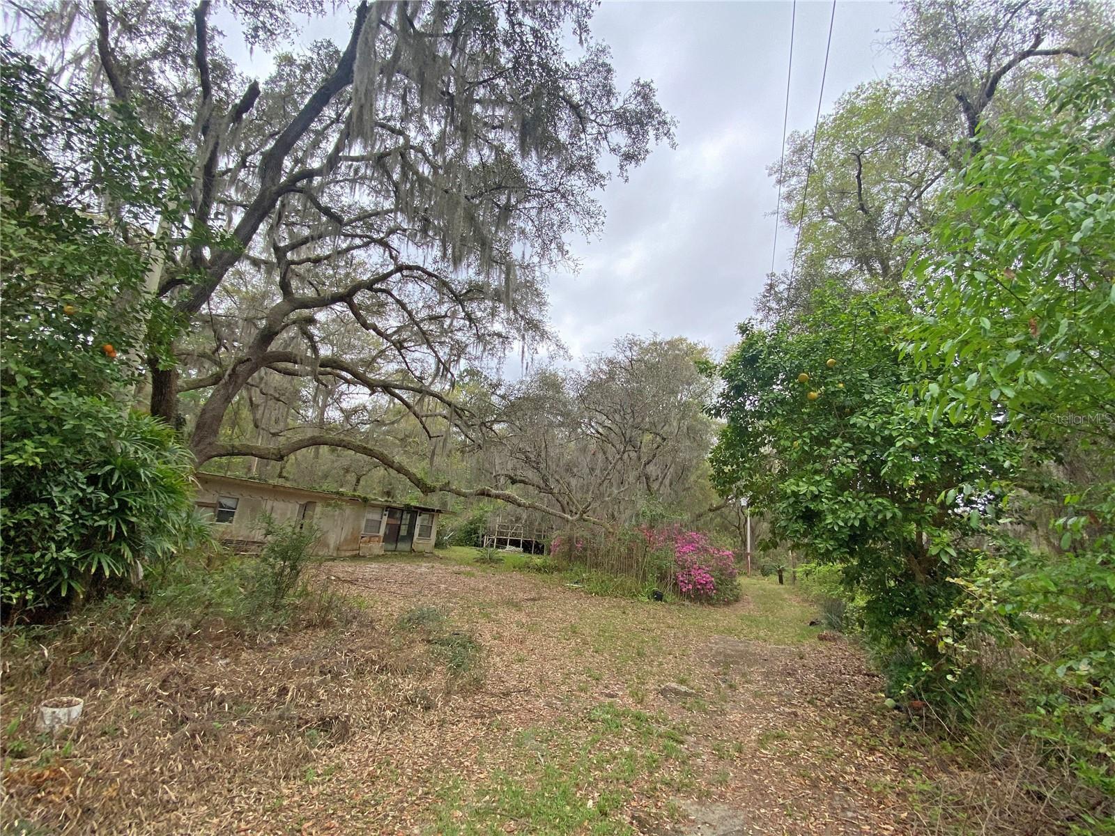 119 TWIN LAKES RD, HAWTHORNE, FL — photo 14