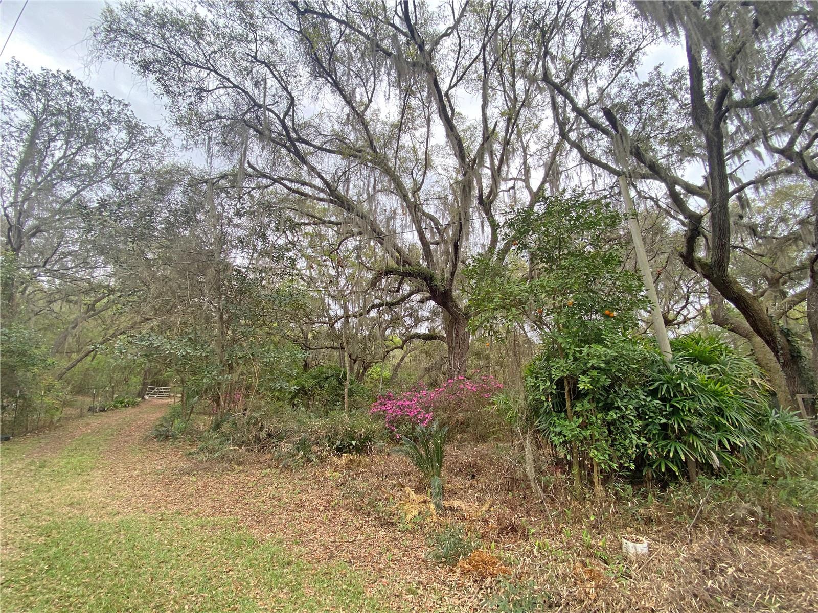 119 TWIN LAKES RD, HAWTHORNE, FL — photo 15
