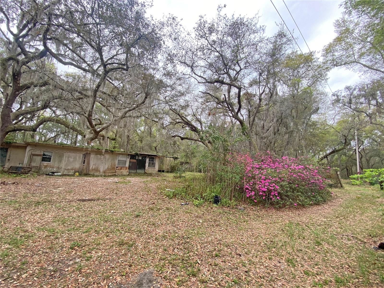 119 TWIN LAKES RD, HAWTHORNE, FL — photo 18