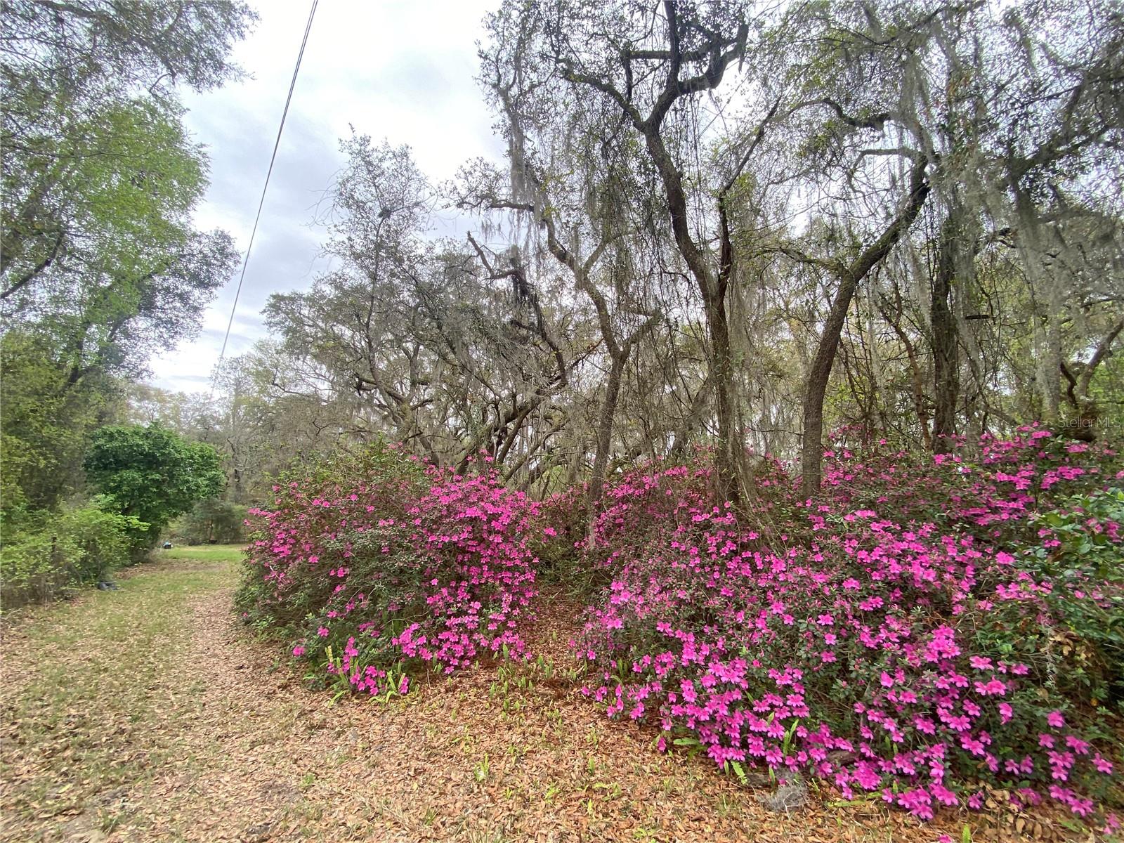 119 TWIN LAKES RD, HAWTHORNE, FL — photo 20