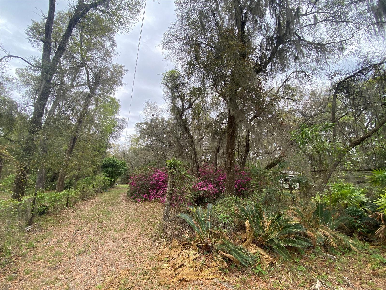 119 TWIN LAKES RD, HAWTHORNE, FL — photo 21