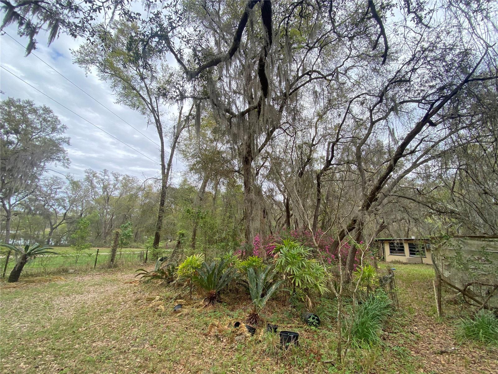 119 TWIN LAKES RD, HAWTHORNE, FL — photo 39