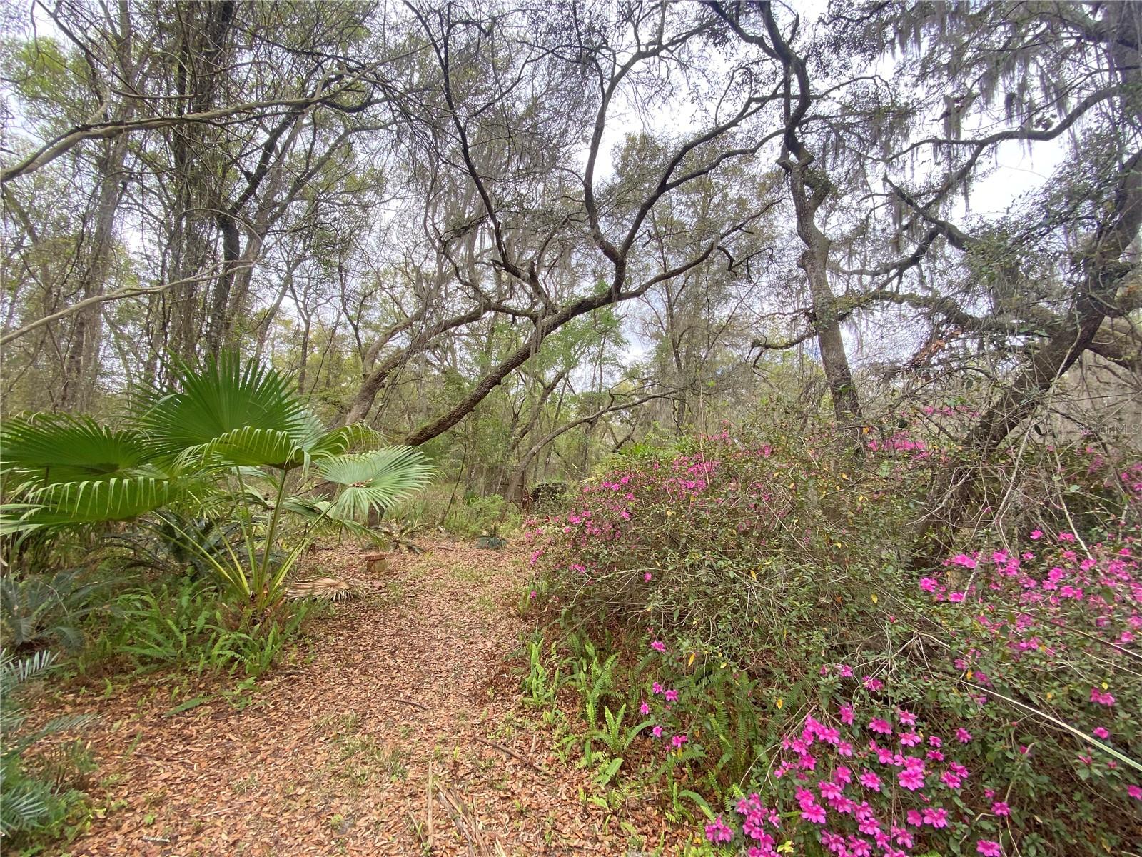 119 TWIN LAKES RD, HAWTHORNE, FL — photo 58