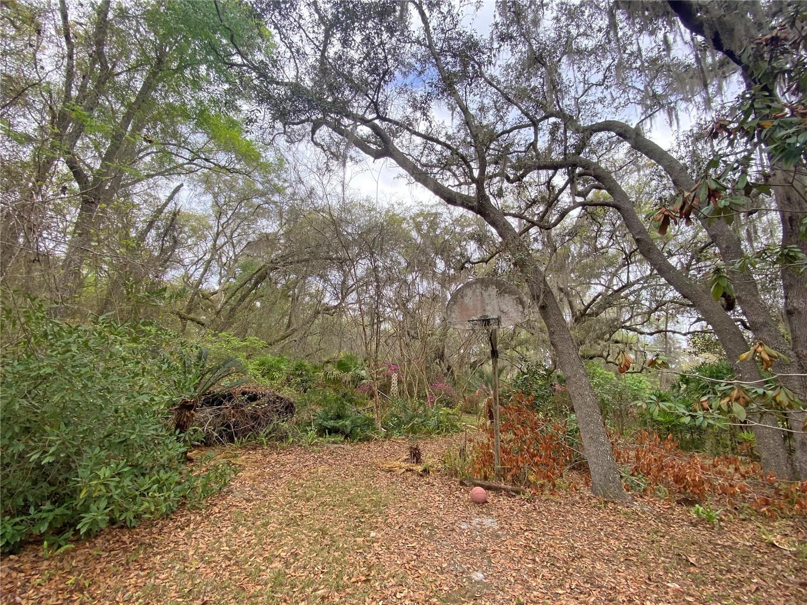 119 TWIN LAKES RD, HAWTHORNE, FL — photo 61