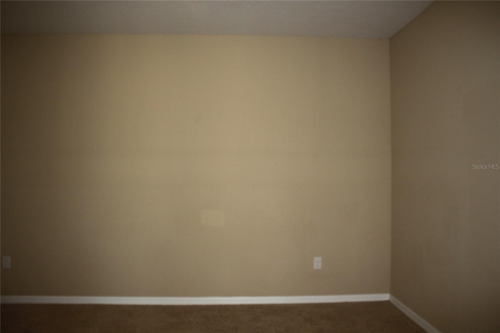 13231 OVERSTREET RD, WINDERMERE, FL — photo 10