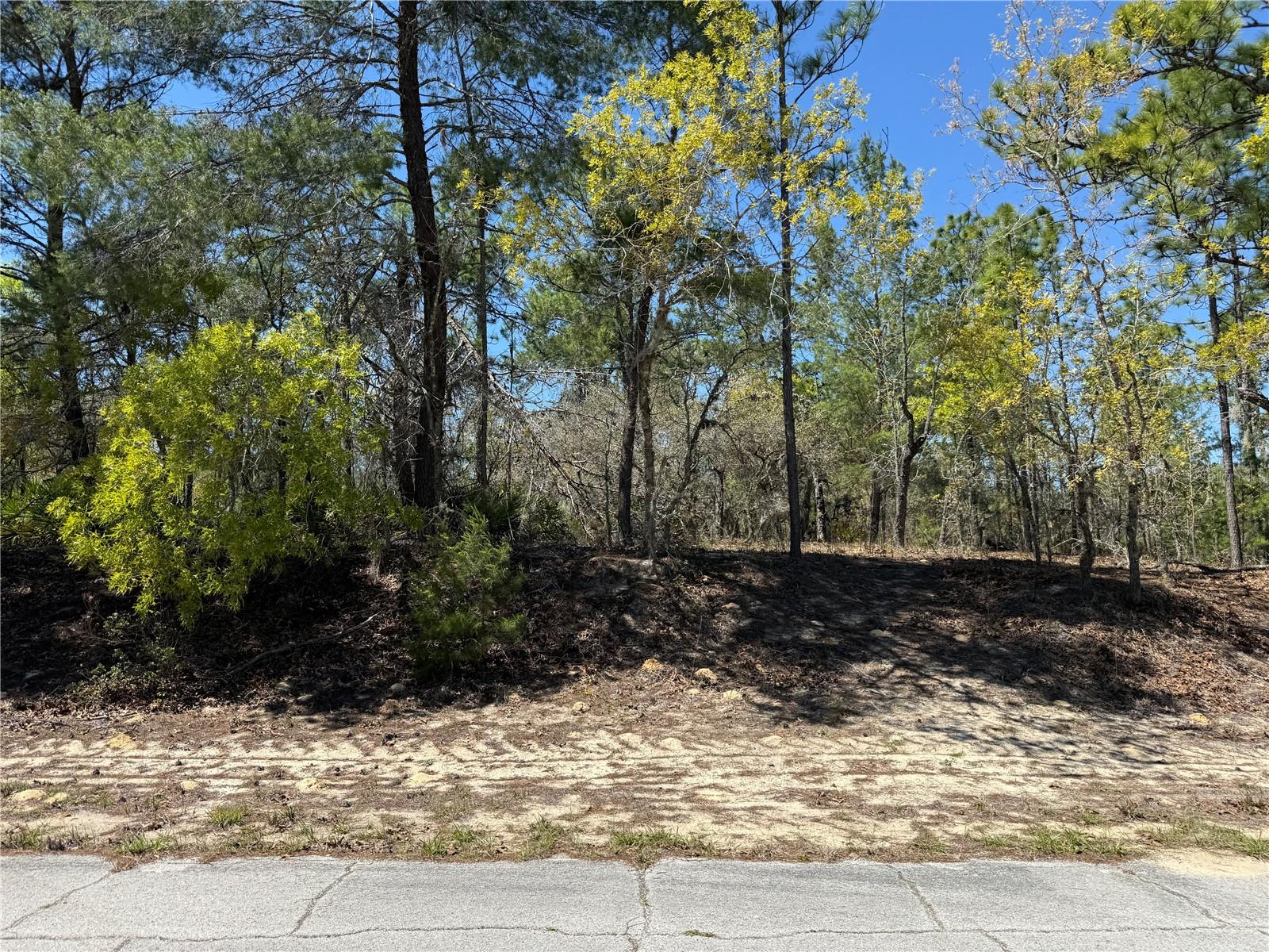 10776 N MORENO DR, DUNNELLON, FL — photo 2