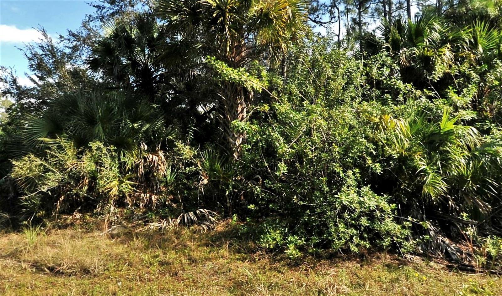 BOLUS, NORTH PORT, FL