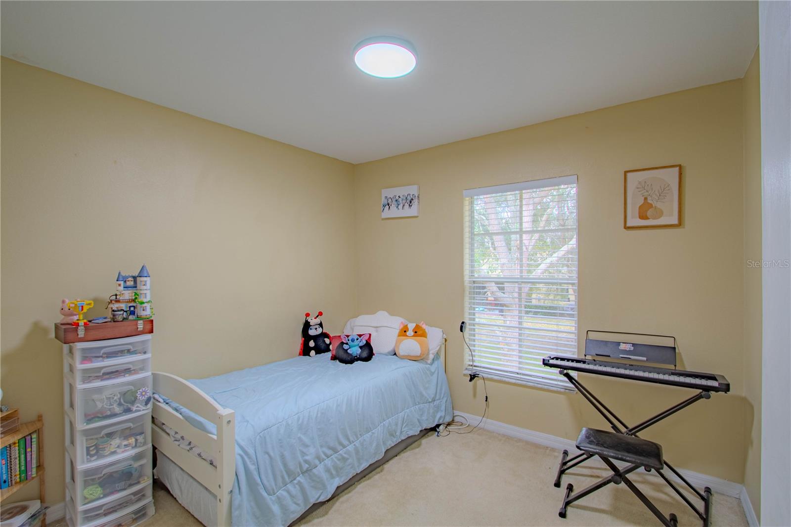 10917 BRICKSIDE CT, RIVERVIEW, FL — photo 9