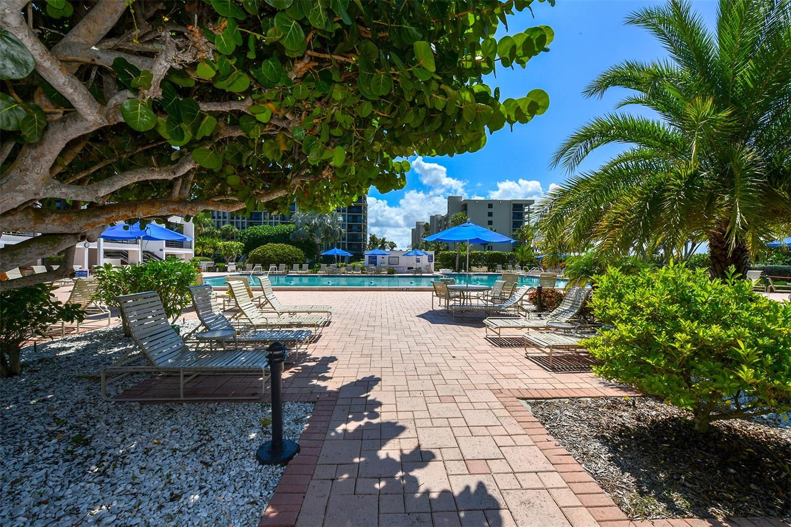 1085 GULF OF MEXICO DR #404, LONGBOAT KEY, FL — photo 25