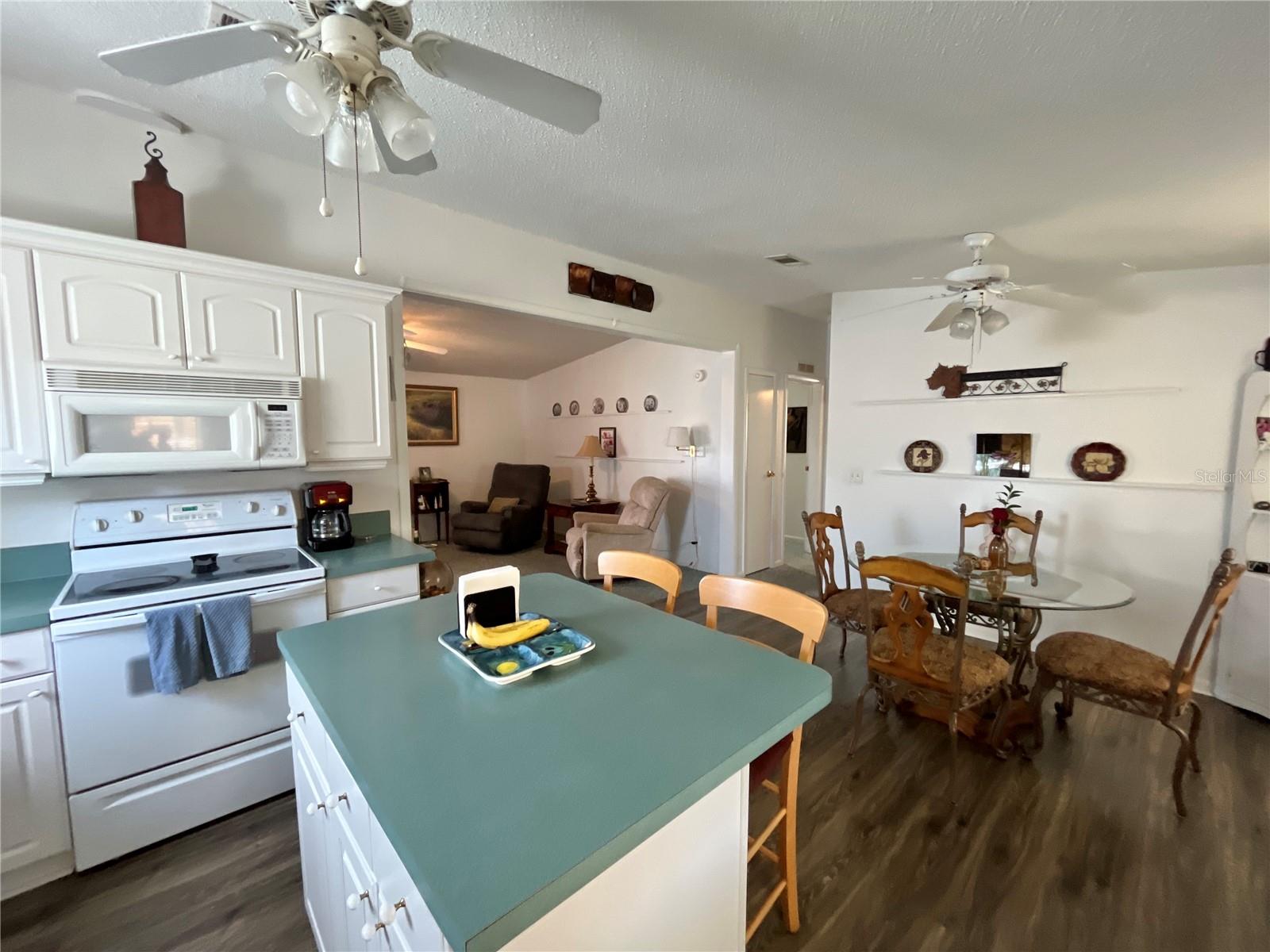 529 RAINBOW BLVD, THE VILLAGES, FL — photo 27