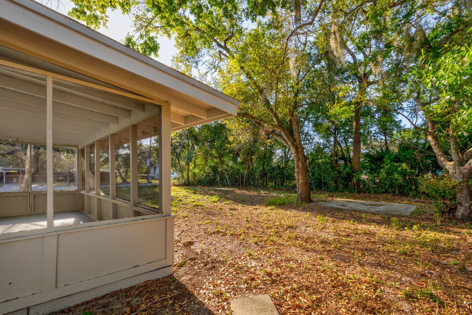 2436 NORTHLAND RD, MOUNT DORA, FL — photo 33