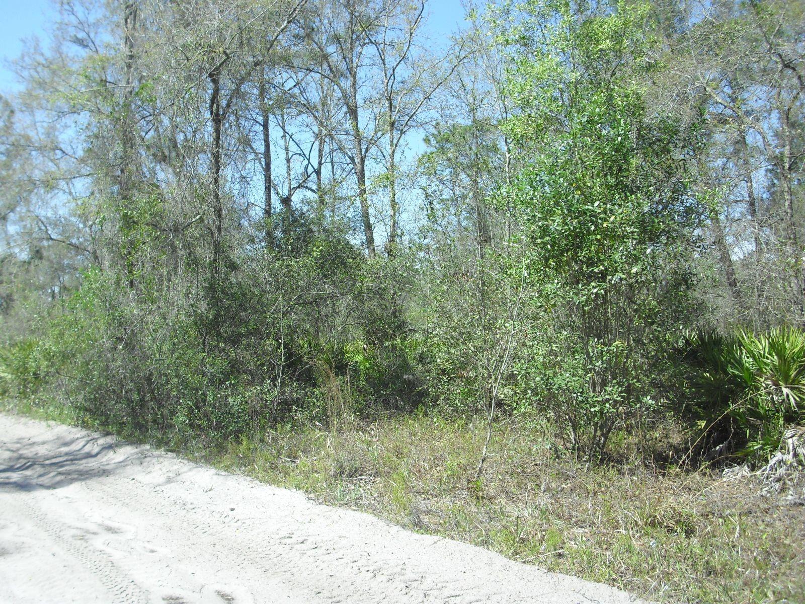 Tract 418 SW 158TH LN, DUNNELLON, FL — photo 3