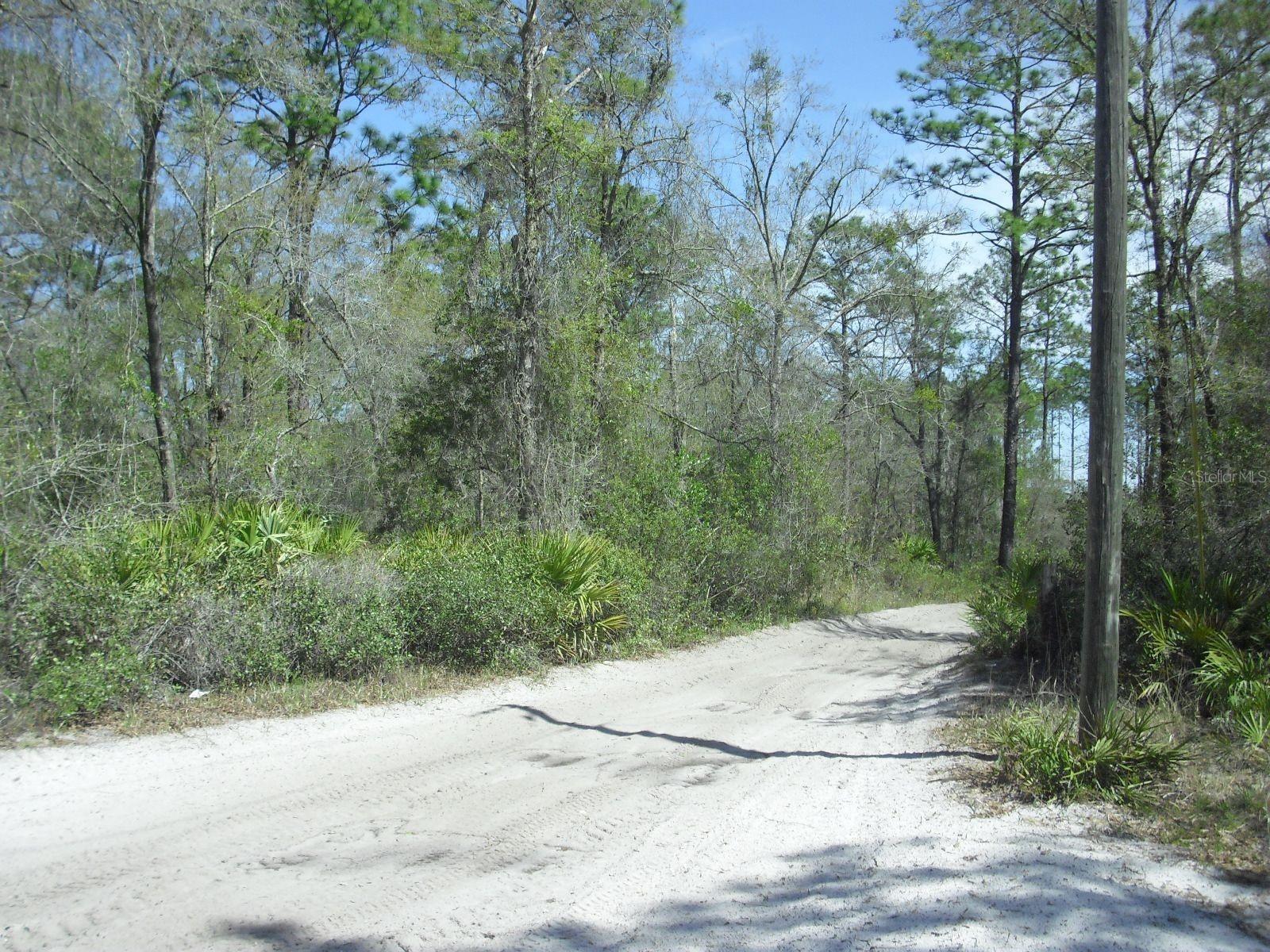 Tract 418 SW 158TH LN, DUNNELLON, FL — photo 16