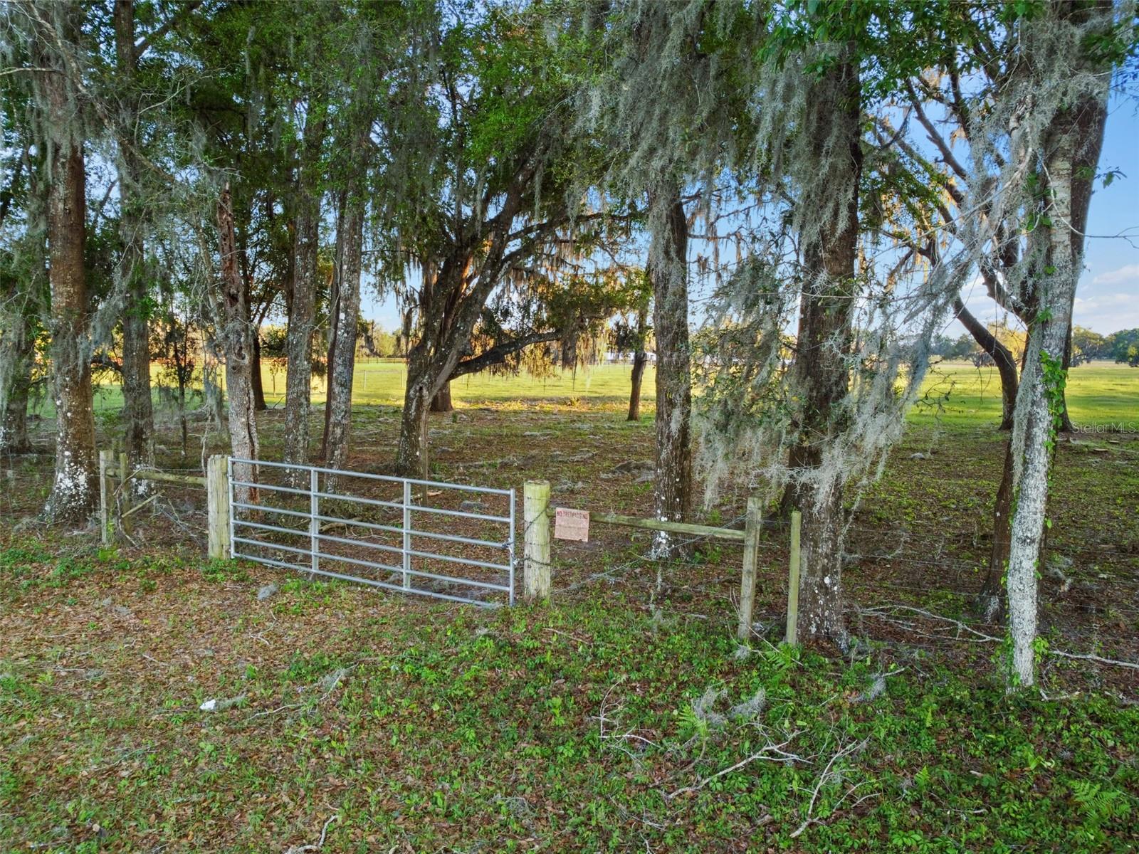 0 W CR 476, BUSHNELL, FL — photo 8