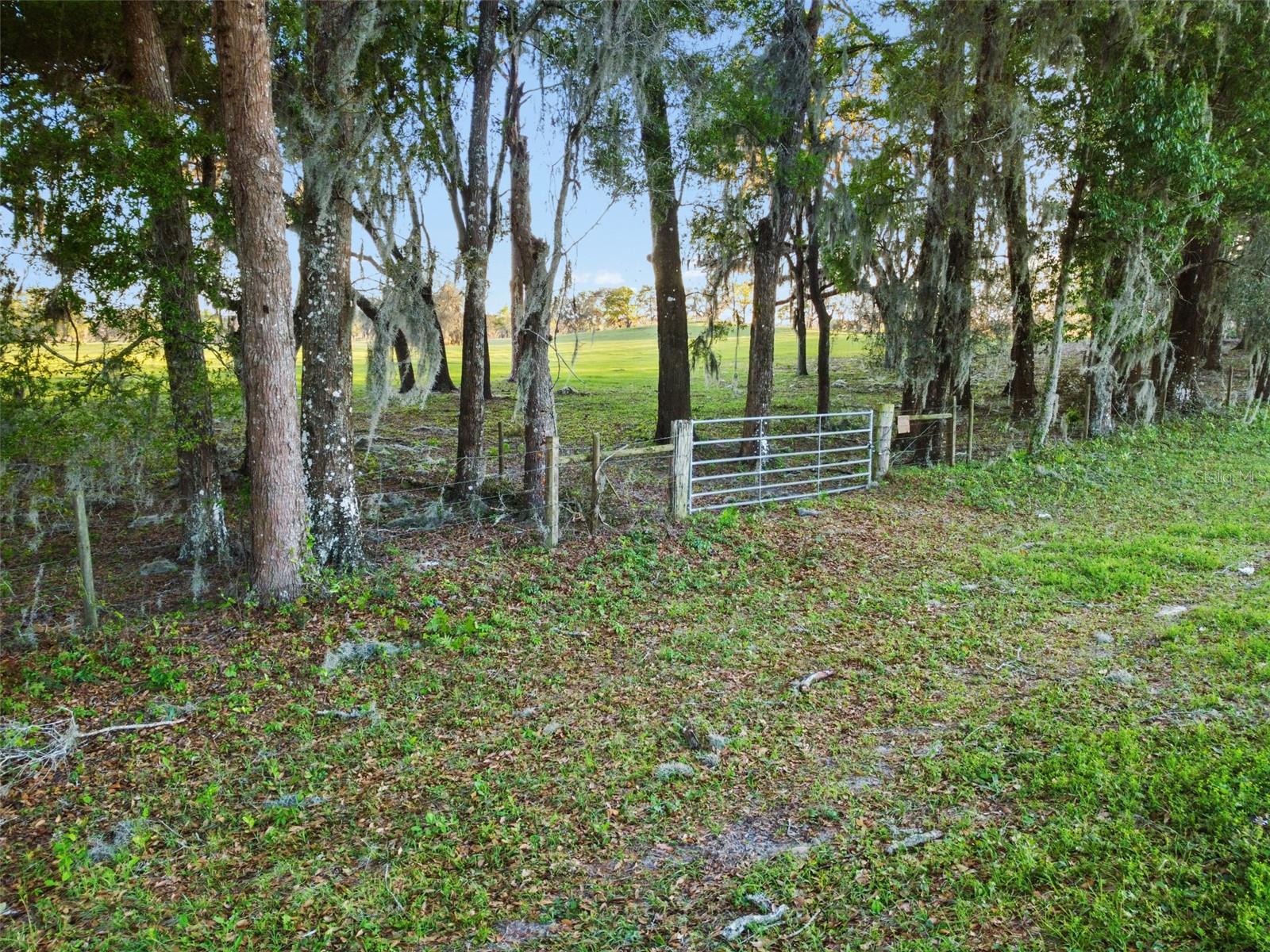 0 W CR 476, BUSHNELL, FL — photo 9