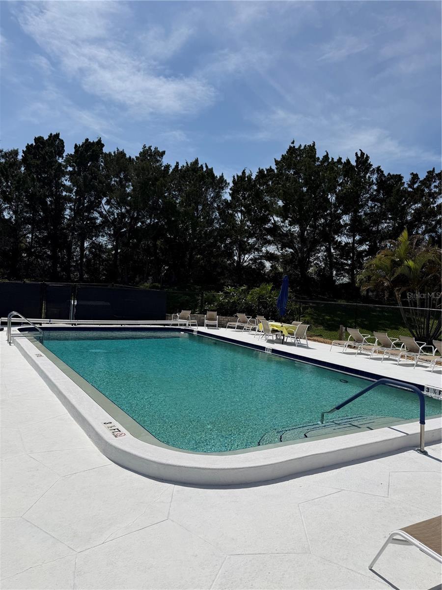 204 WINDWARD PL #36, OLDSMAR, FL — photo 29