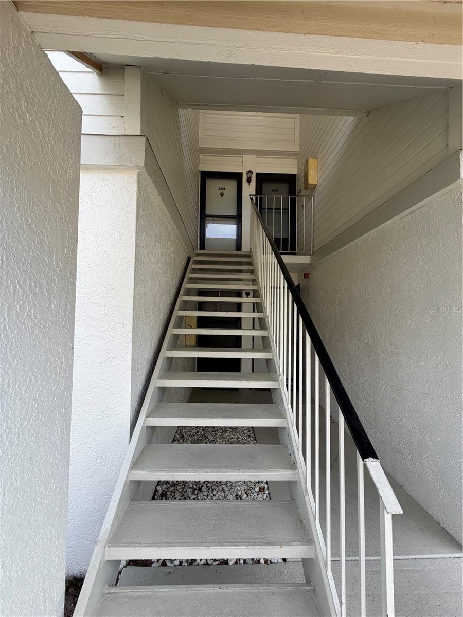 204 WINDWARD PL #36, OLDSMAR, FL — photo 38