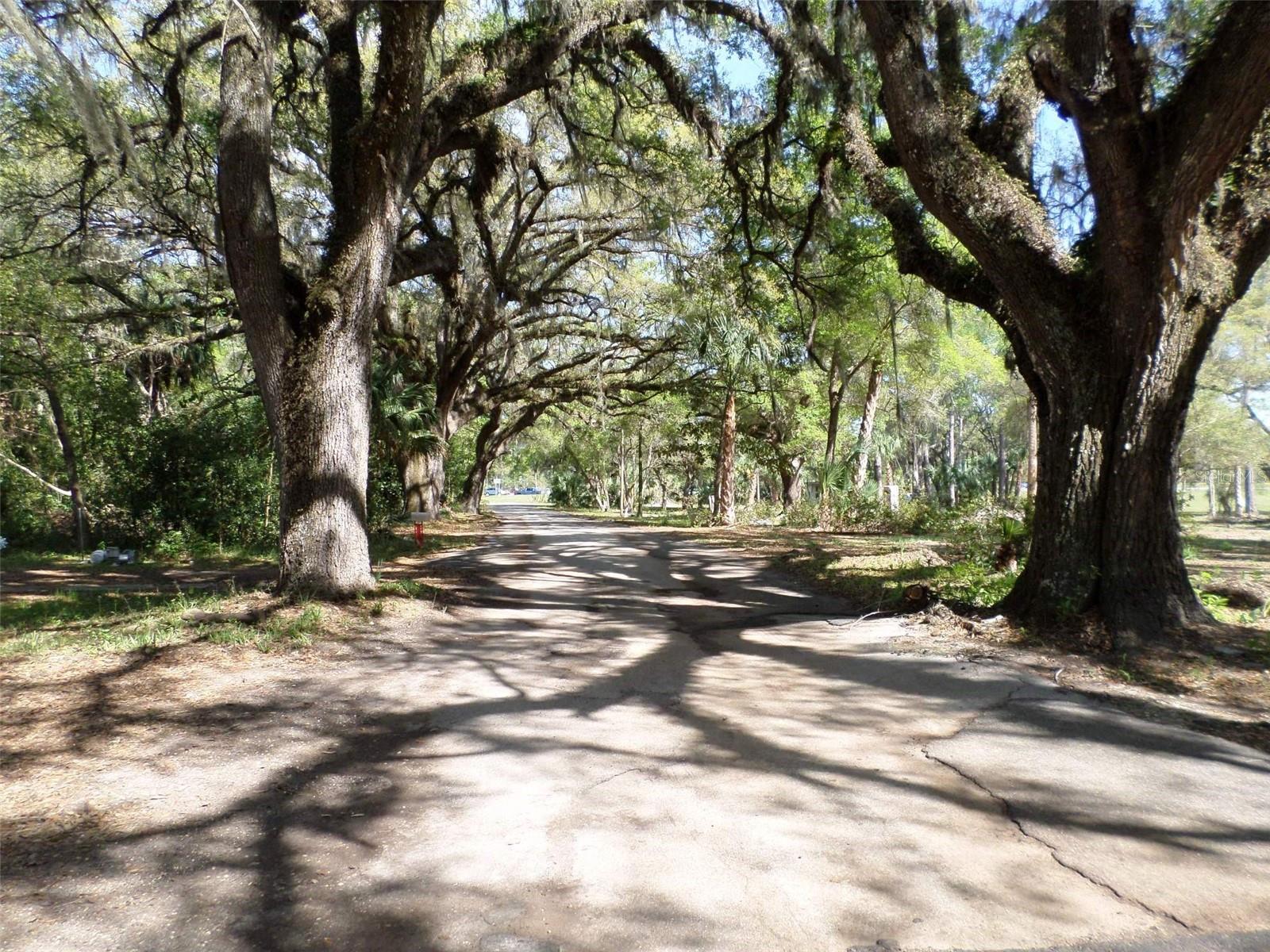 1991 W TEST CT, DUNNELLON, FL — photo 34