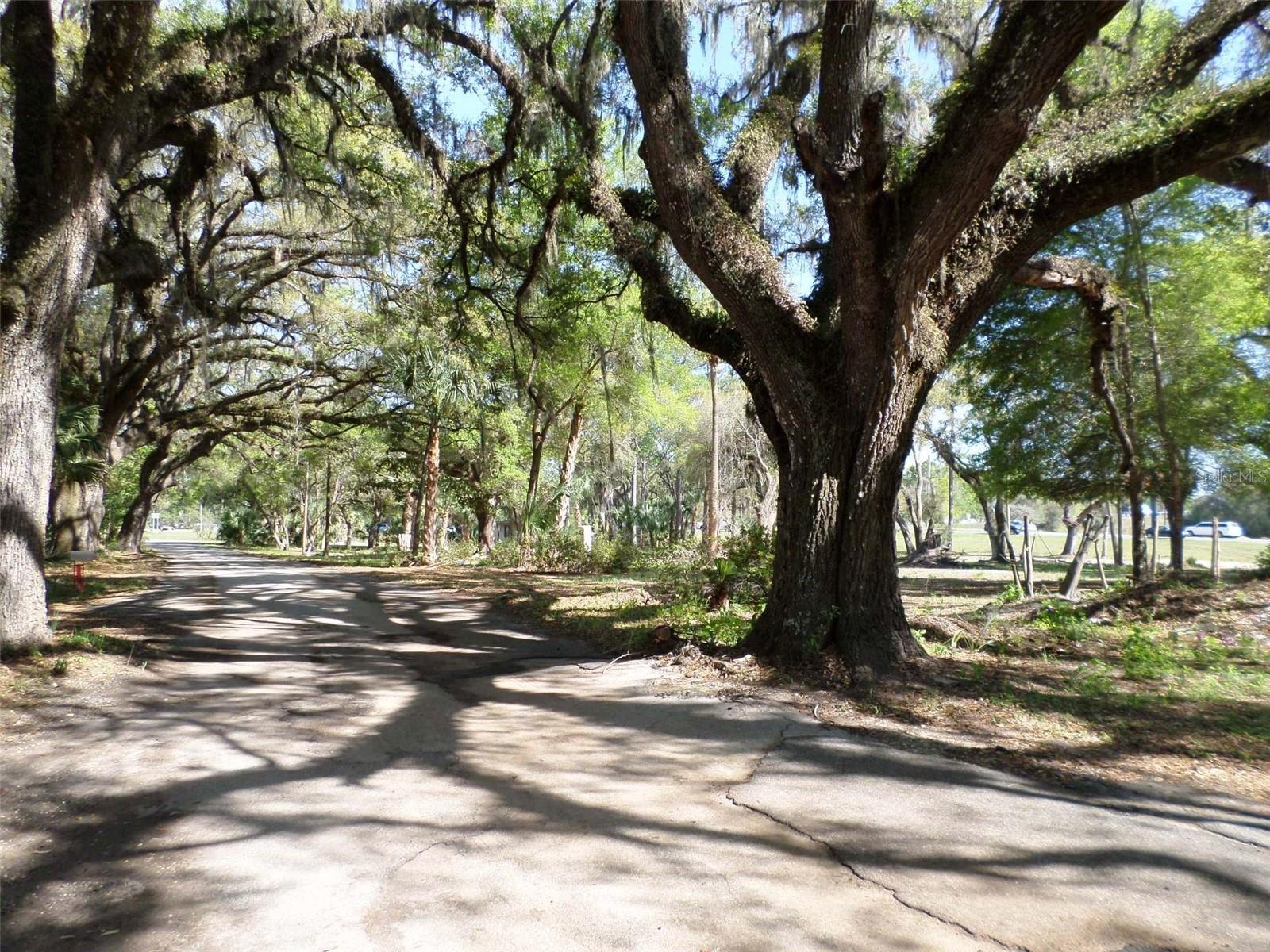 1991 W TEST CT, DUNNELLON, FL — photo 35