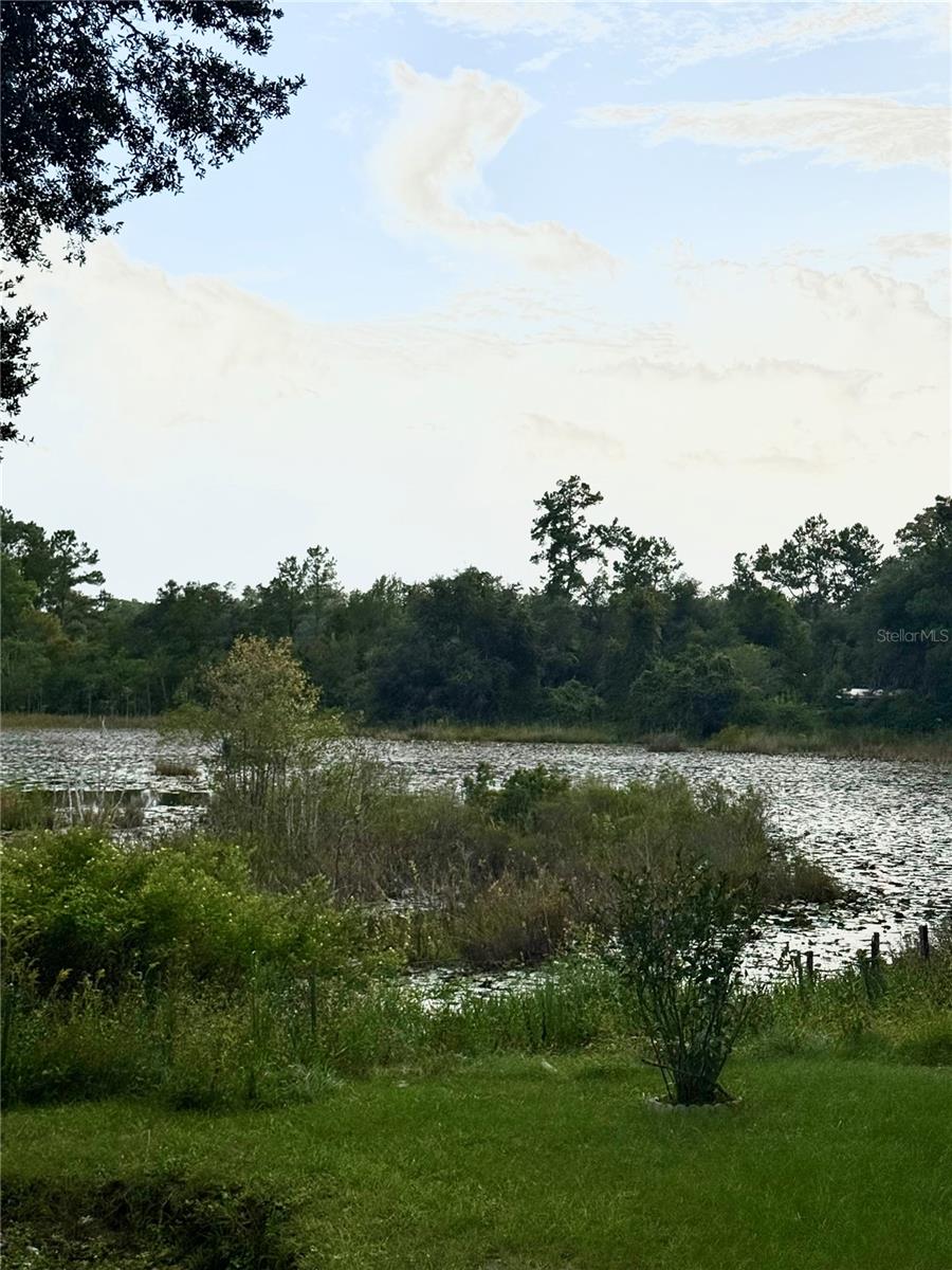 5756 NE 165TH TERRACE RD, SILVER SPRINGS, FL — photo 2