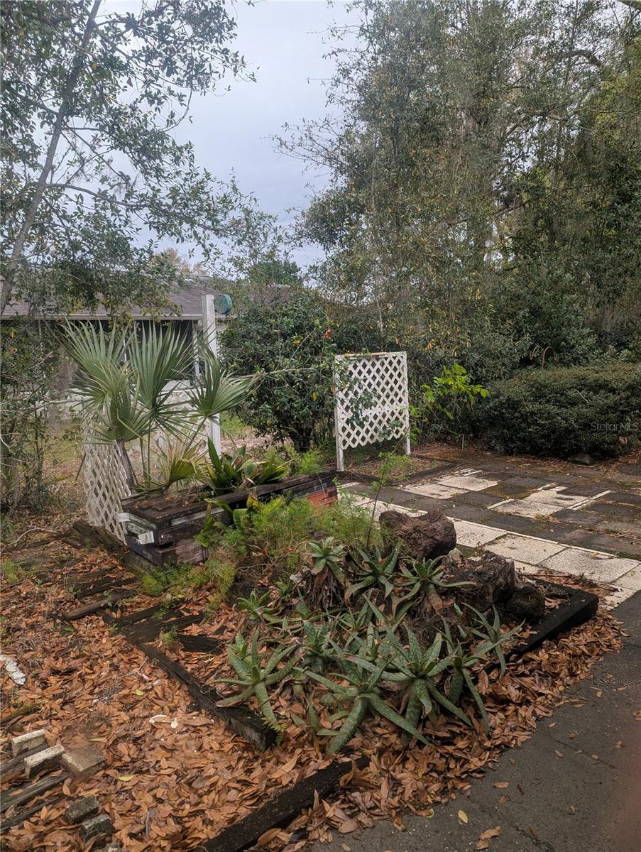 10816 SW 83RD AVE, OCALA, FL — photo 63