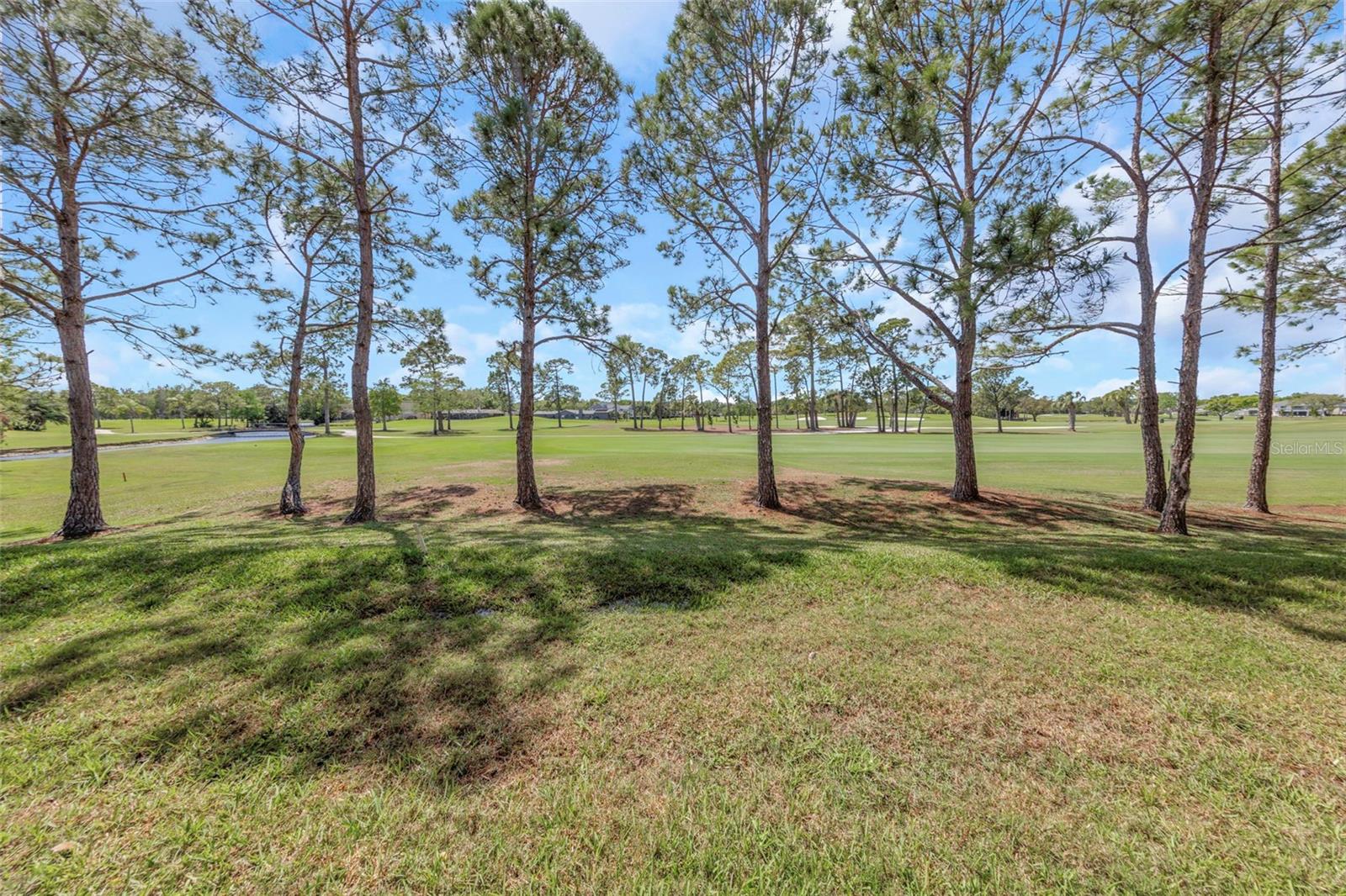 2400 FEATHER SOUND DR #412, CLEARWATER, FL — photo 29