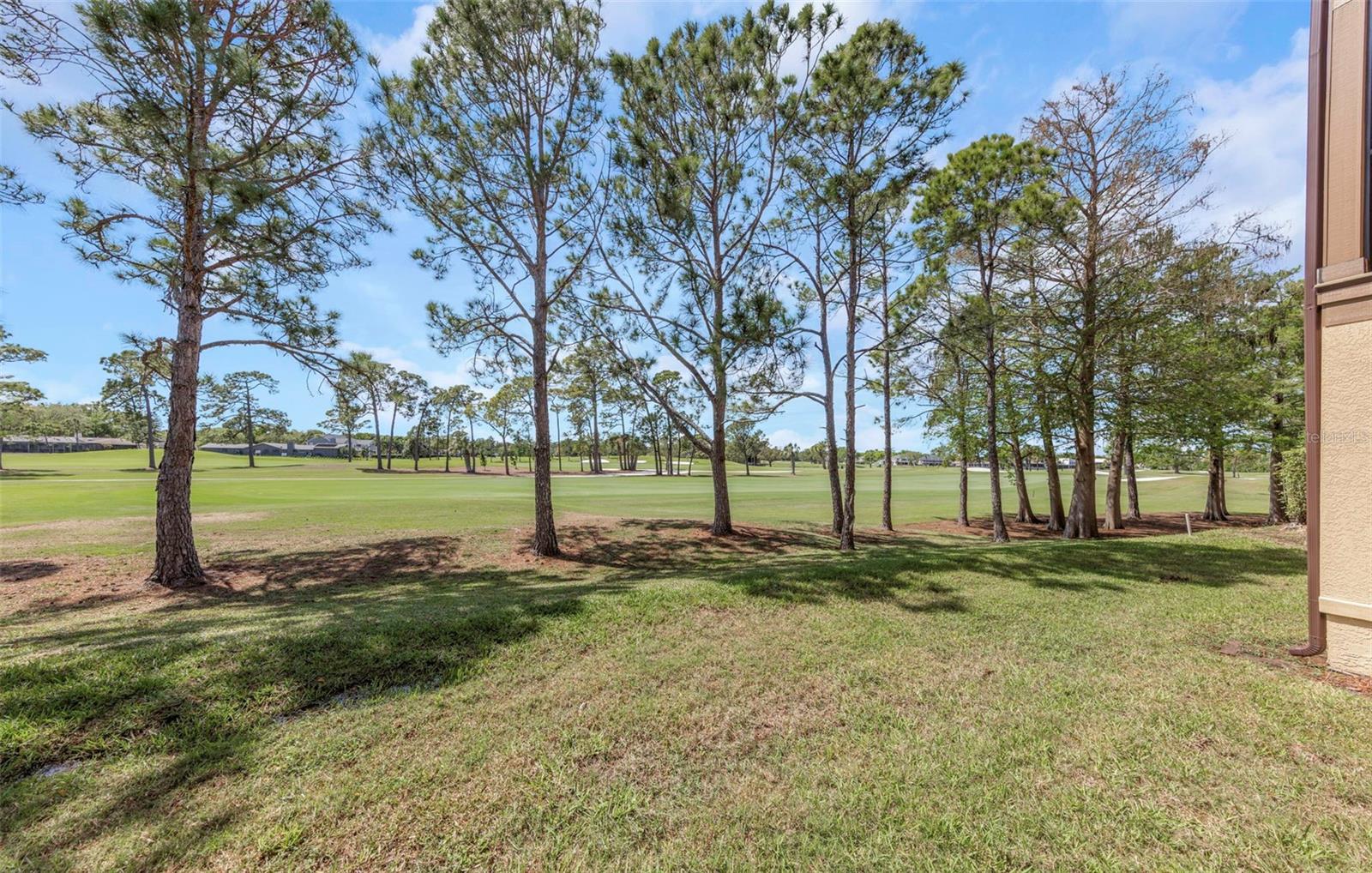 2400 FEATHER SOUND DR #412, CLEARWATER, FL — photo 30