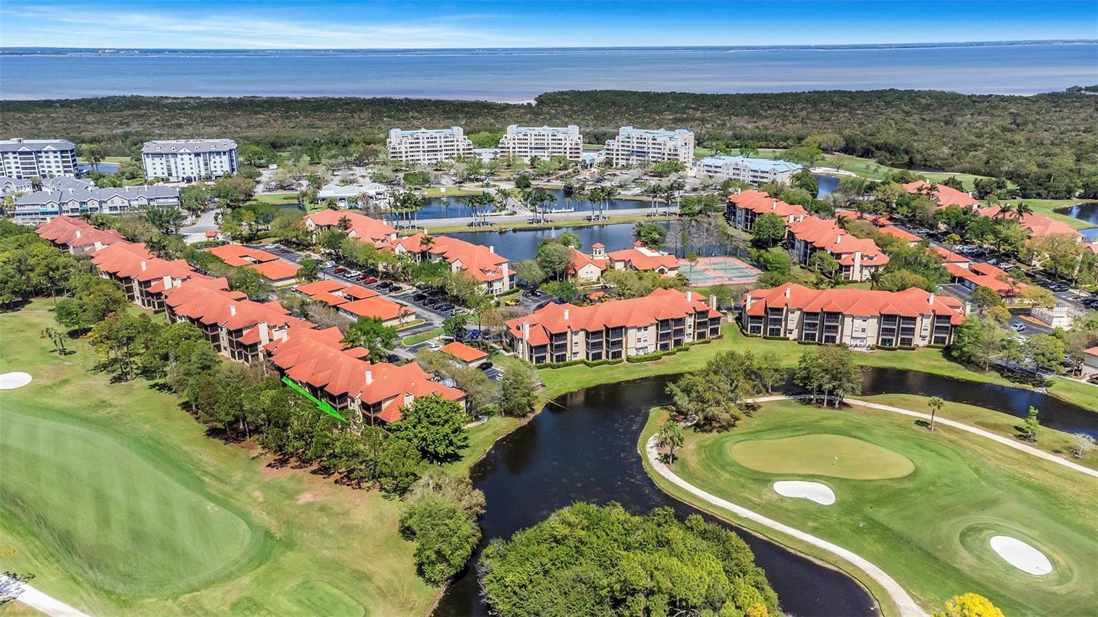 2400 FEATHER SOUND DR #412, CLEARWATER, FL — photo 39