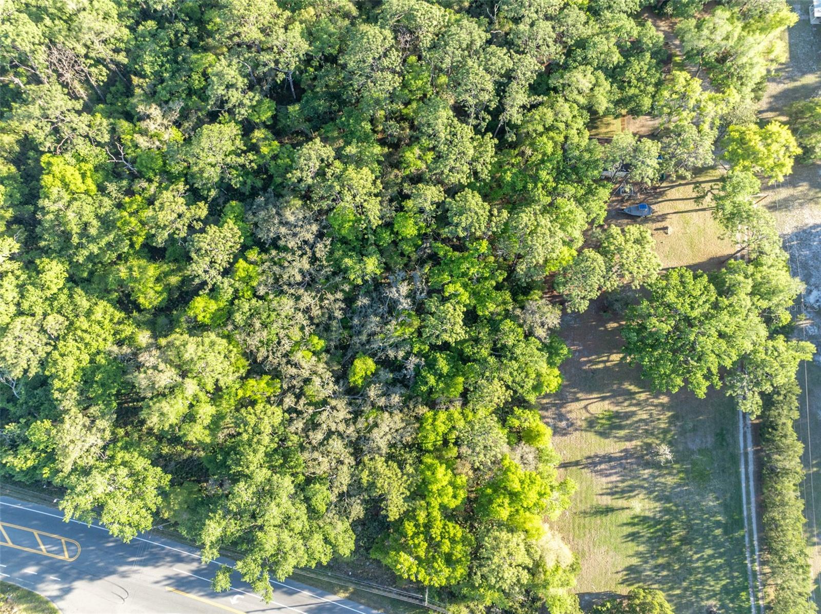 TBD COUNTY ROAD 48, YALAHA, FL — photo 7