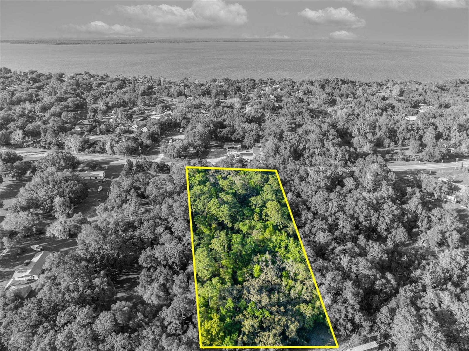 TBD COUNTY ROAD 48, YALAHA, FL — photo 14