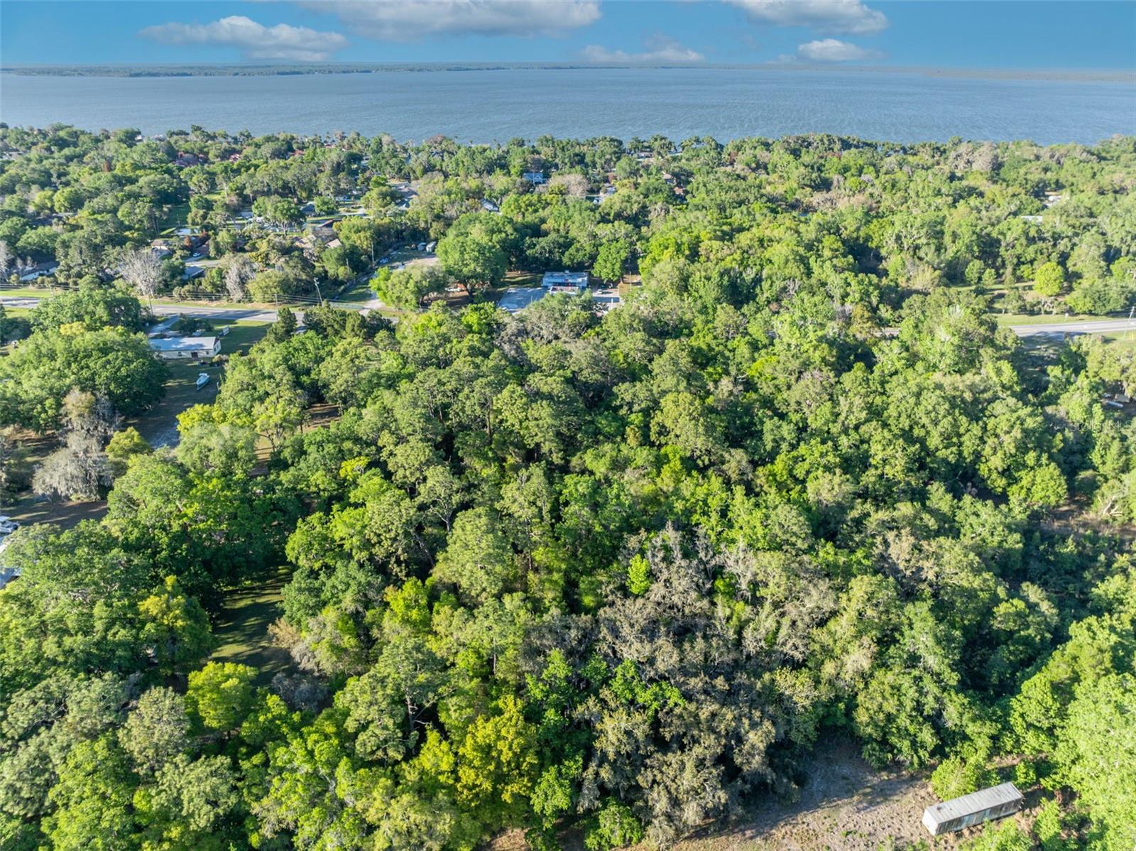 TBD COUNTY ROAD 48, YALAHA, FL — photo 17