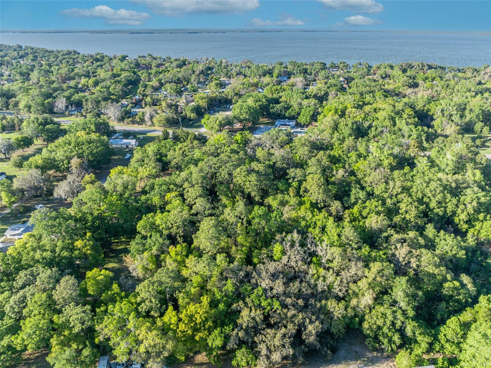 TBD COUNTY ROAD 48, YALAHA, FL — photo 19