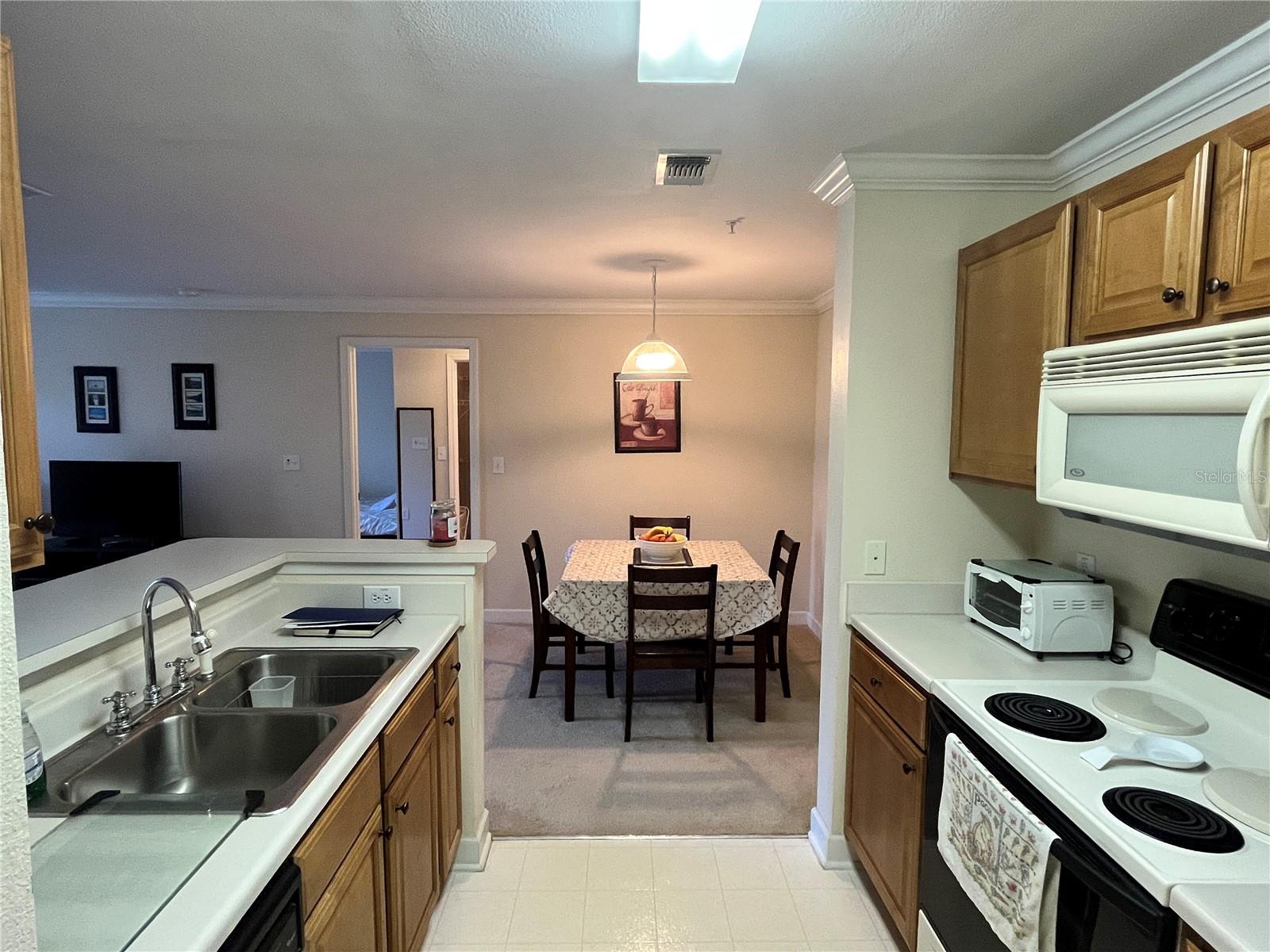 18281 BRIDLE CLUB DR, TAMPA, FL — photo 5