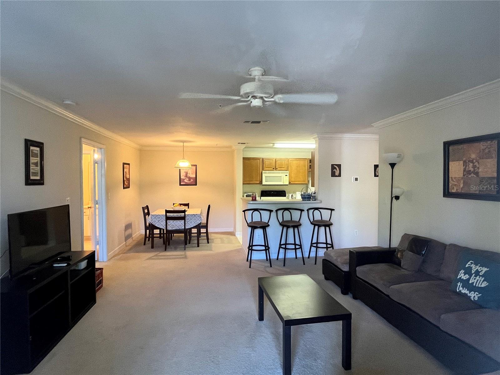 18281 BRIDLE CLUB DR, TAMPA, FL — photo 6