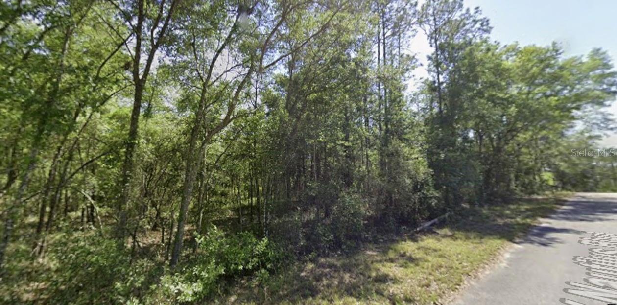 SW NAUTILUS BLVD, DUNNELLON, FL — photo 8